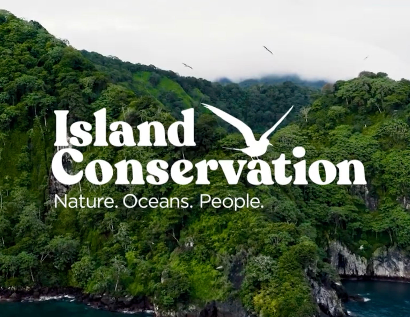 Island Conservation logo